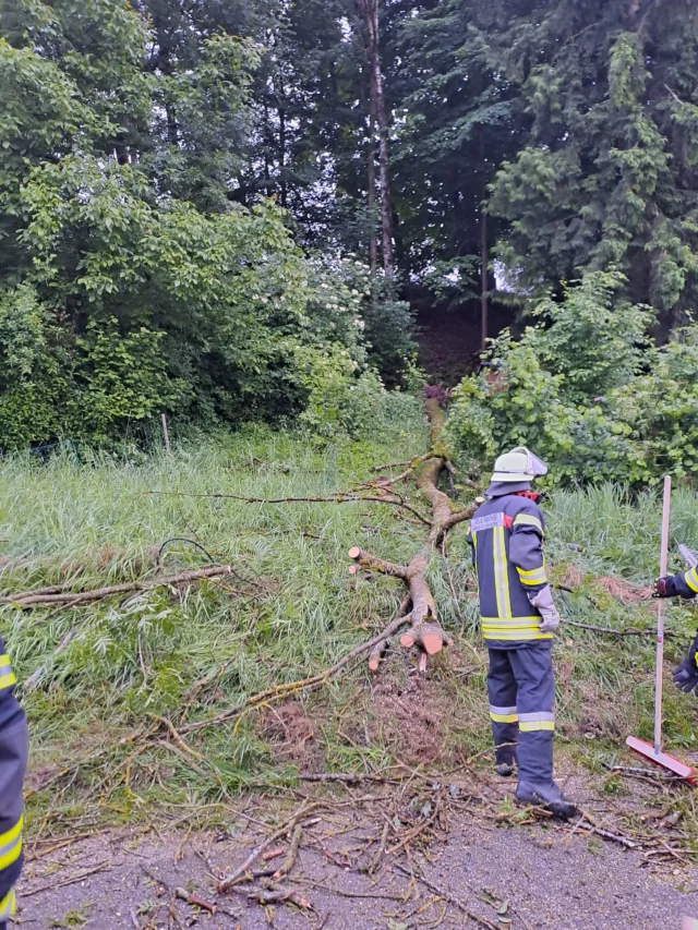 +++🔥🚒 EINSATZ 🚒🔥+++

⏰️ 05.06.2025 - 20:36 Uhr
📟 THL1 Baum auf Straße
📍 T2711, Hörgertshausen
🚒 Hö 40/1, Hö 47/1

Heute Abend wurden wir zu einem umgestürzten Baum alarmiert. 
Der Baum war durch die gestrigen Unwetter offenbar so gelockert, dass er nun vollständig umgestürzt ist und Teile davon auf die Straße gefallen sind.

Glücklicherweise entstand weder Personen- noch Sachschaden. Unsere Einsatzkräfte haben den Baum zerkleinert und die Straße von Schmutz und Ästen befreit, sodass sie wieder sicher befahrbar ist. 

#WirFürHörgertshausen #Hörgertshausen #Feuerwehr #Einsatz #FFW #FreiwilligeFeuerwehr #Ehrenamt #Blaulicht #FFWHörgertshausen